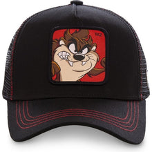 Load image into Gallery viewer, 2019 hat