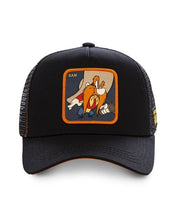 Load image into Gallery viewer, 2019 hat